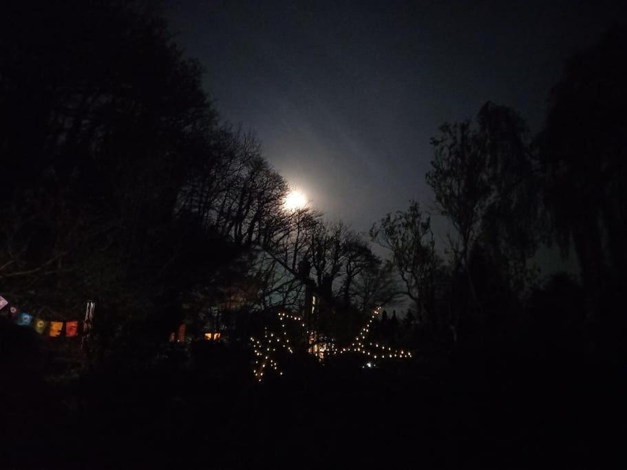 Tan Y Coed'S Rosemary Cabin คอนวี ภายนอก รูปภาพ